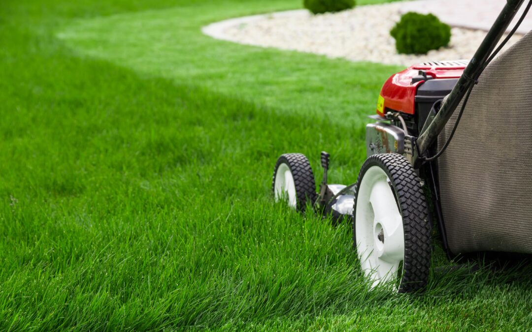 Lawn Maintenance